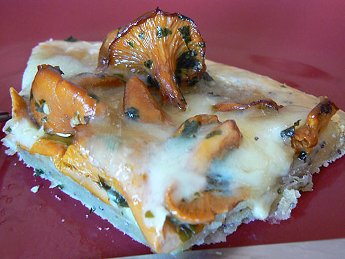 pizza fontina, une part.jpg