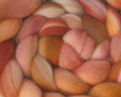 Handspun yarn or fiber... Your choice! Wedding Bouquet  Targhee - 4oz (WW)