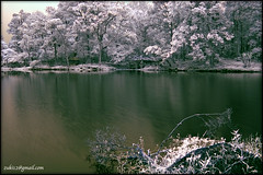frozen lake ...