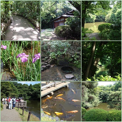 Meiji Shrine's Inner Garden (Tokyo)