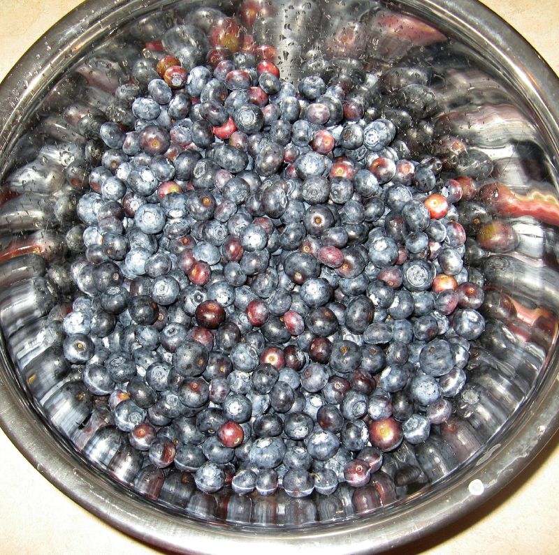 Blueberries in Bowl