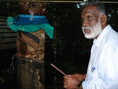Bro. Abraham demonstrating how to tap a rubber tree.