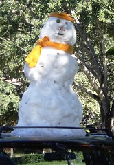 Rio Grande Valley Snowman