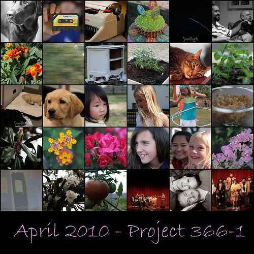April Project 3661 Mosaic-1