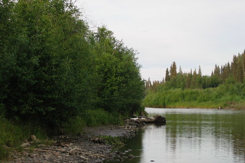 Summer solstice on the Chena River