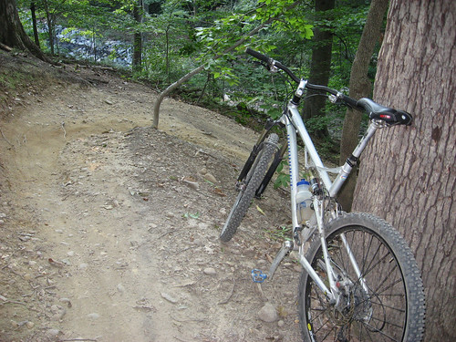 forest hill switchback