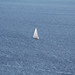 Lonely Sailing
