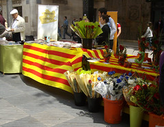 Sant Jordi Vilanova Geltru 2010 018b