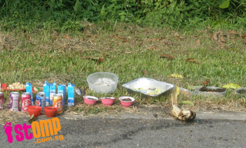  Hungry Mynah birds make a mess feasting on food offerings left at roadside