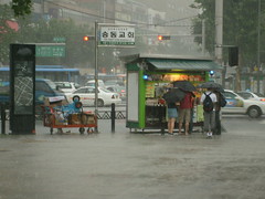 Another rainy day in Seoul