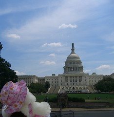 Jo Looking at the Capitol