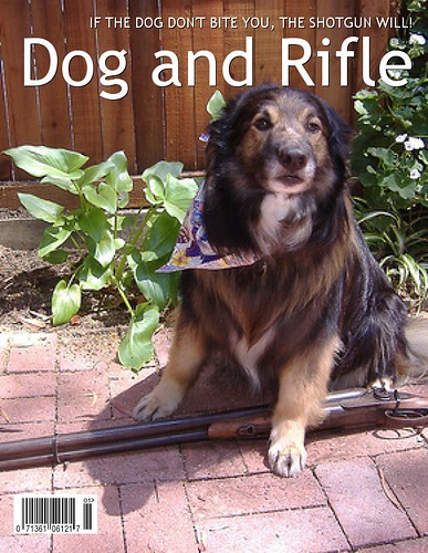 Dog and Rifle