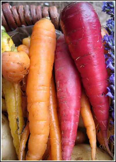 Carrots copy