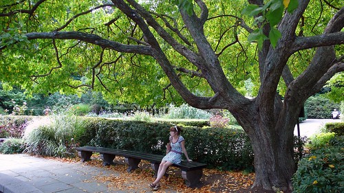 Mona sitting on bench under neat Hobbit tree.