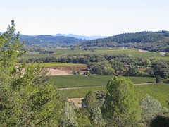 Napa Valley - view from Sterling winery