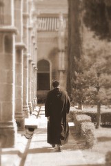 Monk's Loneliness / La soledad del monje