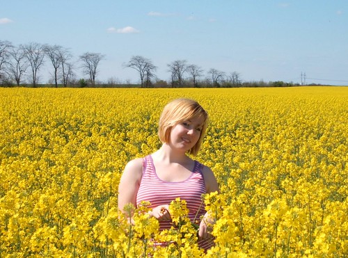 casey & the yellow field ©  marktristan