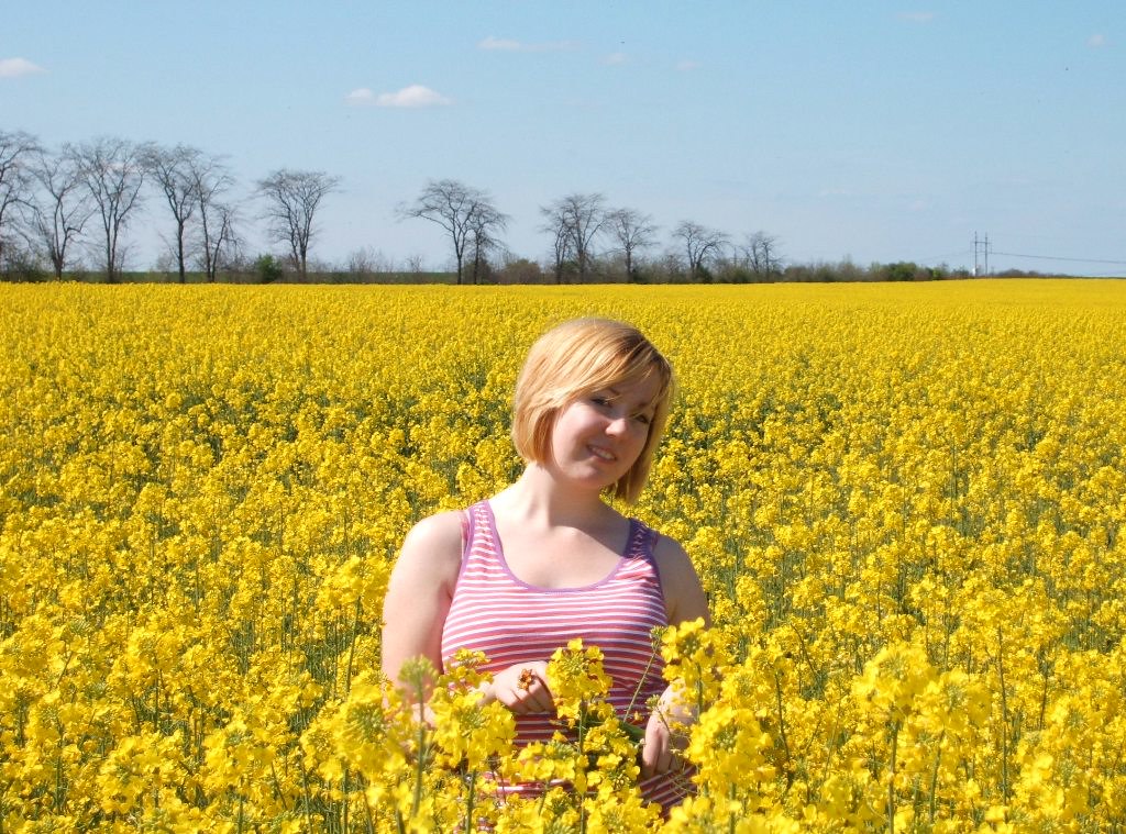 фото: casey & the yellow field