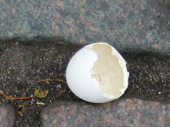 Egg Shell (P1020002)