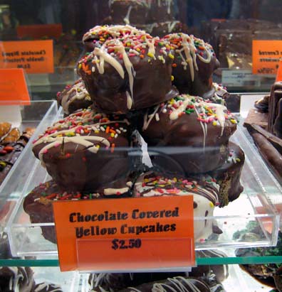 Chocolate Covered Cupcake