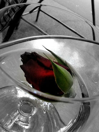 Rose in a Glass