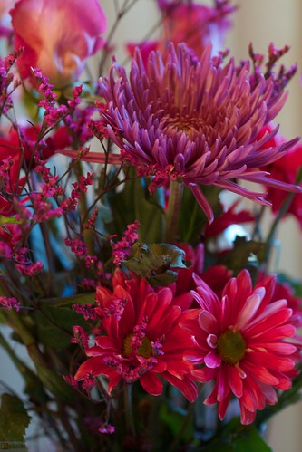mothers day flowers to colour in. Mother#39;s day flowers add color