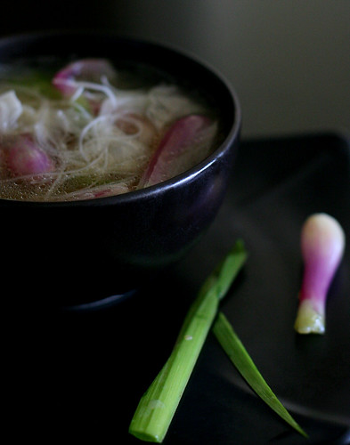 Chicken Soup, with spring onions (ii)