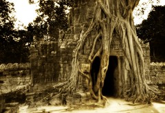 The Secret Cave, Enshrouded in Roots - by Stuck in Customs