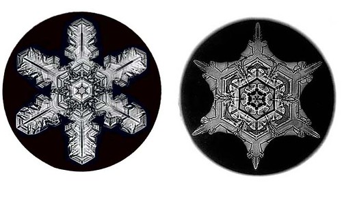 Wilson Bentley was the first person to succesfully photograph a snowflake in 