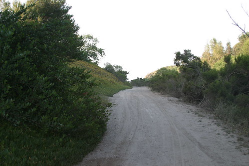 the road to the beach in the Cove