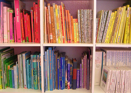 Camdyn's colorful bookshelf!