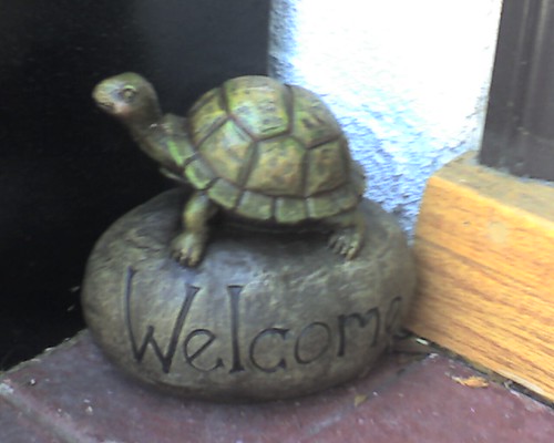 Turtle  Welcome