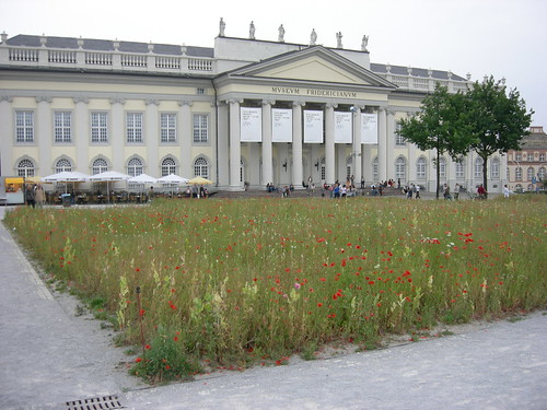 Ivecovic's 'Poppy Field' on Friedrichsplatz 002