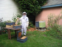Beekeeping 2476