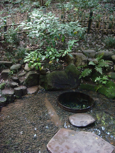 Meiji Shrine's Inner Garden (Tokyo) [5]