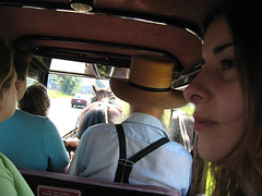 amish buggy ride