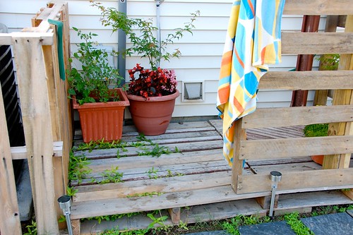 pallet outdoor shower area