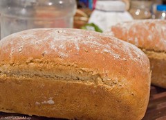 loaf of wheat berry bread