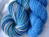 Semi-Custom Crocheted Wool Soaker or Shorts w/ Yarn from WWbN