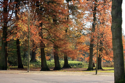 Vondelpark - outono - autumn - herfst