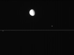 tethys85632