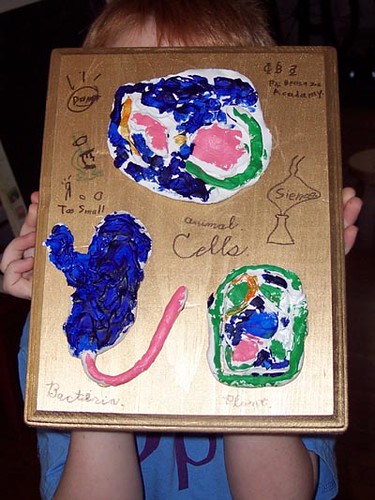 animal cell project pictures. Benny#39;s Cell Project