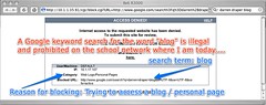 All blog Google searches blocked