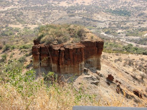 Olduvai Gorge where the Leakeys discovered Homo Habilis (named after wild Sisal, Oldupai)
