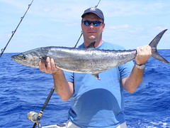 King Mackerel Fishing