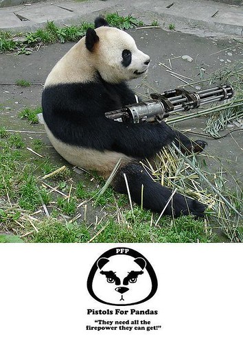 Pistols for Pandas This photo is