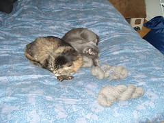 Cats snuggling my handspun yarn