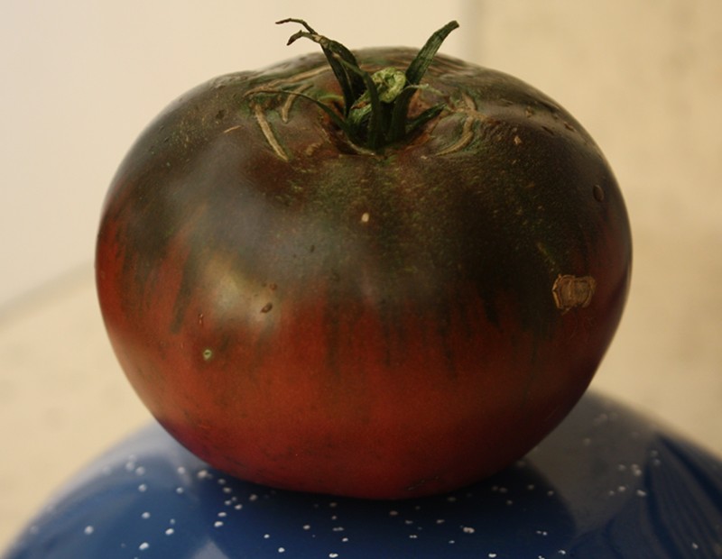 Black Seaman Tomato