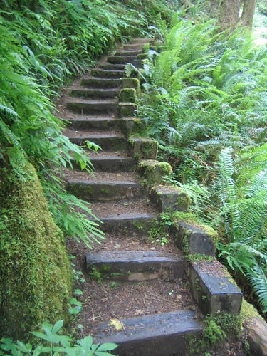 Stairway Suitable for Hobbits