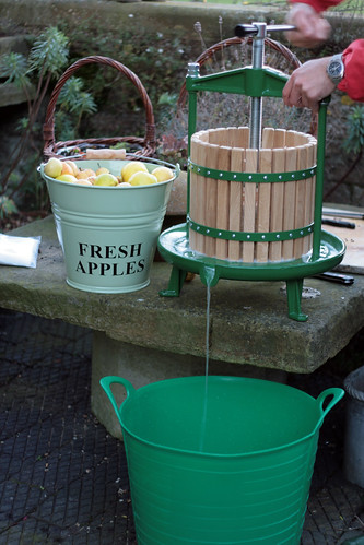 Apple juice press